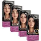 Kit 4 Coloração Alfaparf Alta Moda 3 Castanho Escuro Kit 4 Coloração Alfaparf Alta Moda 3 Castanho Escuro