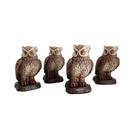 Kit 4 Corujas Decoração Enfeite Estatueta Em Gesso - VÁRIAS VARIEDADES