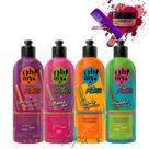 Kit 4 Cremes Oh My Hair Power 500G
