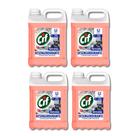 Kit 4 Desengordurantes Concentrado Profissional 5 Litros CIF