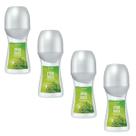 Kit 4 Desodorante Rollon Erva Doce 48ml Avon