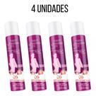 Kit 4 Desodorantes Íntimo Morango com Chantilly Facinatus