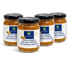 Kit 4 Doce Abobora com Coco Diet SAO LOURENCO 200g