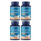 Kit 4 Enzima Lactase Pura 4500 Fcc Maxima Absorção 240 Cáps