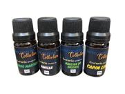 Kit 4 Essências Aromáticas Notas Sensuais Bamboo Marthan, Vanilla, Madeira Oriente e Capim Limão