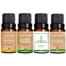 Kit 4 Essências Aromatizador / Difusor 10ml - 4 Chás