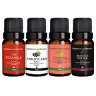 Kit 4 Essências Aromatizador/Difusor 10ml - Frescor Exótico