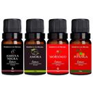 Kit 4 Essências Aromatizador / Difusor 10ml Frutas Vermelhas