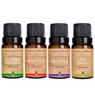 Kit 4 Essências Aromatizador / Difusor para Ambientes