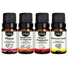 Kit 4 Essências Premium 10ml - Fantasia Frutada