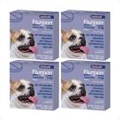 Kit 4 Flunixin 5mg Anti-Inflamatório Chemitec Cães - 10 Comprimidos Kit 4 Flunixin 5mg Anti-Inflamatório Chemitec Cães - 10 Comprimidos