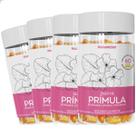 Kit 4 Frascos Óleo de Prímula Gelatinosas Vitamina E Borragem Linhaça Femme 240 Cápsulas Suplemento Alimentar Natural