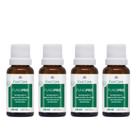 Kit 4 Fungipro Fortalecedor e Regenerador de Unhas 20ml - WNF Kit 4 Fungipro Fortalecedor e Regenerador de Unhas 20ml - WNF