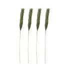 Kit 4 Galho Natalino Pena Pampas Decoração Boho Verde 86 cm