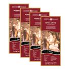Kit 4 Henna Creme Surya Brasil Preto Kit