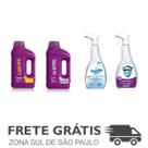 Kit 4 Limpa Bordas, Floculante, Protect Clor, Redutor ph Dom