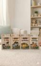 Kit 4 Livros Infantil Coleção Mundo Dos Minidinos Pterodáctilo, Espinossauro, T-rex E Tricerátopo C
