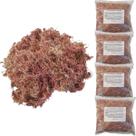 Kit 4 Musgos Sphagnum 5 Litros Substrato P/ Plantas Orquídea Kit 4 Musgos Sphagnum 5 Litros Substrato P/ Plantas Orquídea