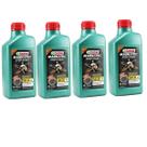 Kit 4 Oleo Castrol Magnatec 5w30 Sintético A5/B5 Sn