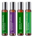 Kit 4 Óleos Essênciais Super Refrescantes Roll On 10ml
