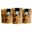 Kit 4 pct Chá de Anis Estrelado-Illicium Verum Hooker-100g