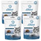 Kit 4 Petisco Hana Dental Gato Petisco Adulto 60g