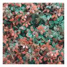 Kit 4 Placas Muro Inglês Jardim Vertical Artificial Avermelhada 40x60cm