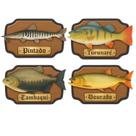Kit 4 Placas Peixes Pintado, Tucunaré, Tambaqui e Dourado