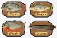Kit 4 Placas Peixes Piranha, Piapara, Pirarucu e Tilápia Kit 4 Placas Peixes Piranha, Piapara, Pirarucu e Tilápia