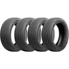 Kit 4 Pneus Delinte Aro 15 195/45R15 DS2 78V