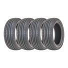 Kit 4 Pneus Roadking Aro 15 205/65R15 Argos HP 94H