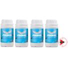 Kit 4 Pombal Repelente Para Pombos Natural Quimiagri 250ml Kit 4 Pombal Repelente Para Pombos Natural Quimiagri 250ml