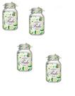 Kit 4 Potes de Vidro Hermético Original FIDO Terrina 3000 ml Ø 13,5 mm Multiuso