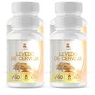 Kit 4 Potes Levedo de Cerveja 400mg 240 Capsulas - Rico em Vitaminas do Complexo B e Minerais Kit 4 Potes Levedo de Cerveja 400mg 240 Capsulas - Rico em Vitaminas do Complexo B e Minerais