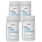 Kit 4 Potes Tri Magnésio Malato Taurato Bisglicinato 240 Cápsulas Suplemento Alimentar Natural Premium Natunectar Original