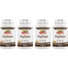 Kit 4 Psyllium 500mg 120 Cápsulas - Rei Terra