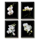 Kit 4 Quadros Florais Fotografias Orquídeas 33x24cm - com vidro Kit 4 Quadros Florais Fotografias Orquídeas 33x24cm - com vidro