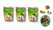 Kit 4 Rações Ração Pássaro Preto Sábia Melros Pixarro Coco c/Frutas 500g Belga