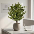 Kit 4 Ramos de Folhagem Verde Artificial 40cm Eucalipto para Ornamentação de Ambientes Kit 4 Ramos de Folhagem Verde Artificial 40cm Eucalipto para Ornamentação de Ambientes