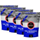 Kit 4 Sal Marinho Integral De Mossoro Smart 1kg Fino Kit 4 Sal Marinho Integral De Mossoro Smart 1kg Fino