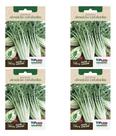 Kit 4 Sementes Almeirão Catalonha Alta Qualidade Germinação