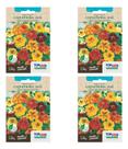 Kit 4 Sementes Capuchinha Anã (sortida) Flor Comestível 1g