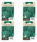 Kit 4 Sementes De Brócolis Calabres De Cabeça Verdadeiro