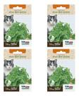 Kit 4 Sementes Erva Dos Gatos Nepeta Cataria Catnip Petisco Kit 4 Sementes Erva Dos Gatos Nepeta Cataria Catnip Petisco