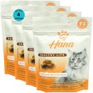 kit 4 Snacks Hana Healthy Life Hairball Control Para Gatos Adultos 60g