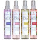 Kit 4 Splash Ameixa Belle Vanilla e Morango - Bio Instinto