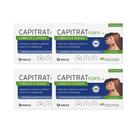 Kit 4 Suplemento Capitrat Forte+ Cabelos E Unhas 60 Cápsulas