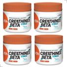 Kit 4 Suplemento Creathinex Beta 600g Creatina Monohidratada Alanina Massa Muscular Pré Treino Pura
