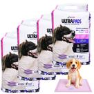Kit 4 Tapete Higienico Lavanda Cachorro 60x80 120Un Premium