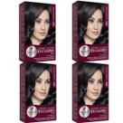 Kit 4 TONALIZANTE HASKELL 300 CASTANHO ESCURO Kit 4 TONALIZANTE HASKELL 300 CASTANHO ESCURO